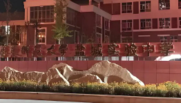 华东师范大学盐城实验中学